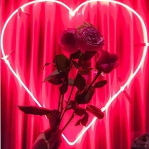 Meet your Posher, Sidney